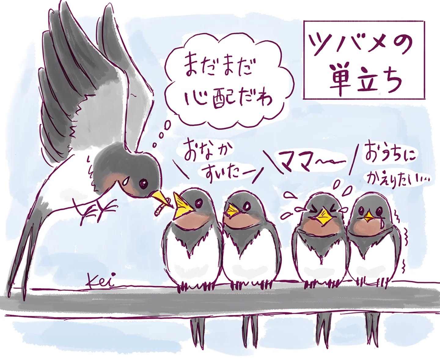 昨日のお散歩中、可愛い光景を見ました。
巣立ちをしようとしているツバメの雛たち🐥🐥🐥
みんなぎゅっとひっついて、おどおどしているように見えました。
巣から出てもまだお母さんの口から餌をもらっている☺️
そのうち自分の力で餌を探しに行くんだろうな。
みんな元気に巣立って行きますように。

#イラスト#ツバメ #巣立ち