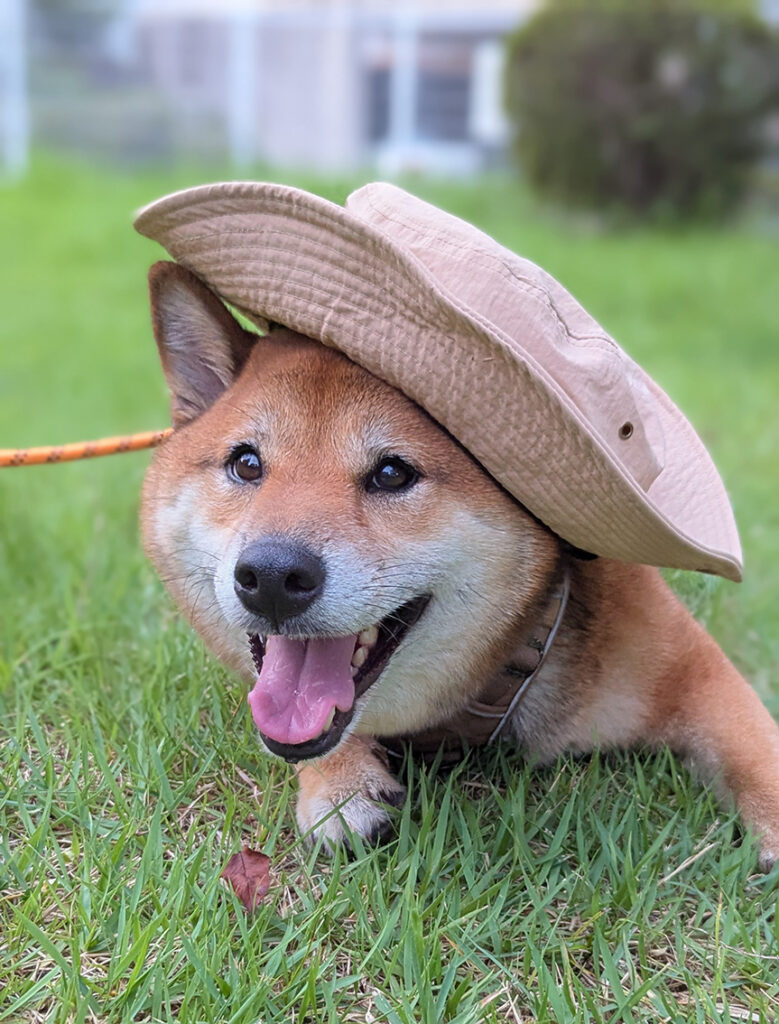 暑い暑い～🥵