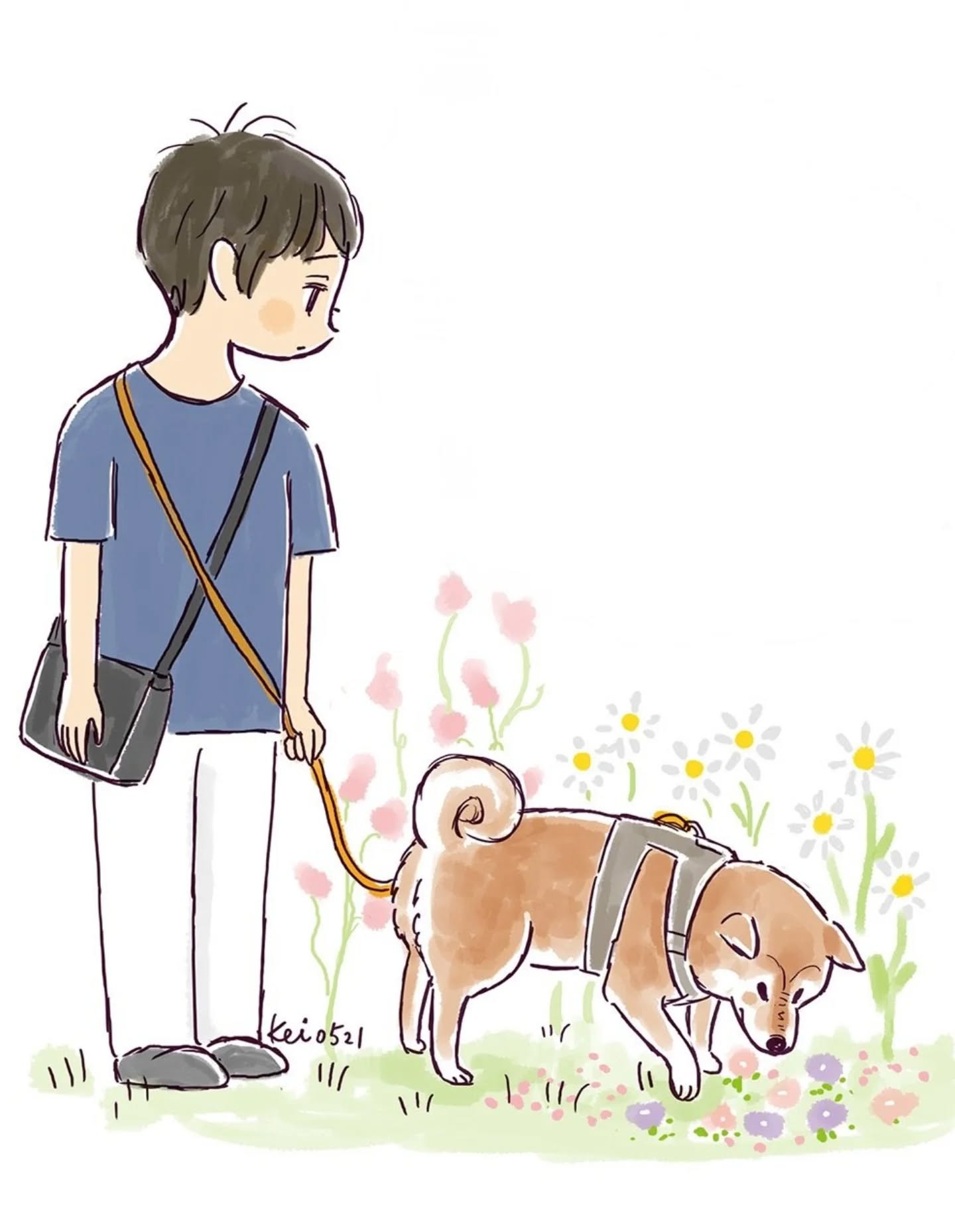 飼い主もルーちゃんも大好きなお隣さんが、引っ越してしまった😢
上品で優しくて、温かくて…本当に素敵な方。
いっぱいいっぱいルーちゃん可愛がってもらった。

大好きな人がいなくなったこと、ルーちゃんは分かっているのかな。
お花が大好きなお隣さんが、たくさんのお花を植えて作った花壇💮🌸🌹の前を通るたび、少し切なくなる😢

でも、すごく遠くへ行ってしまったわけじゃないから、ルーちゃんを連れて会いに行こう。
