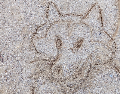 今日のあさんぽ