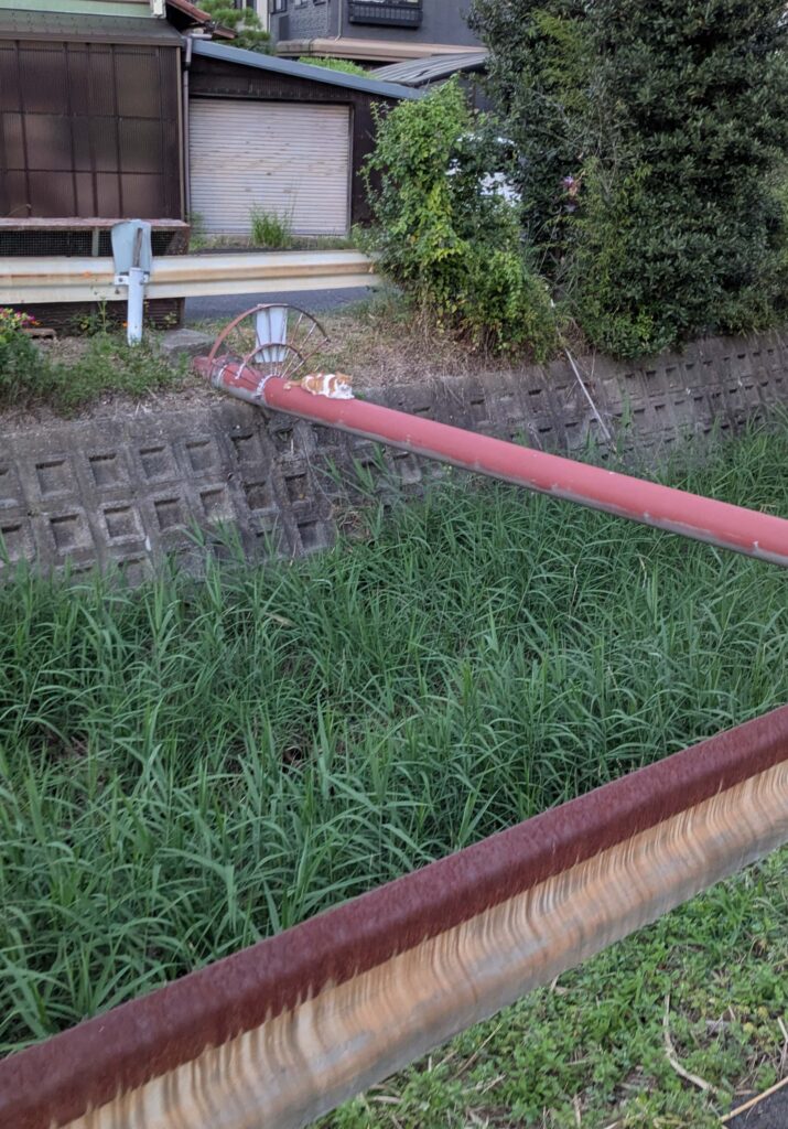 ん!?