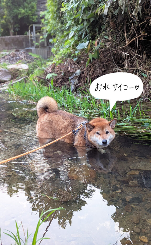 ひゃ～