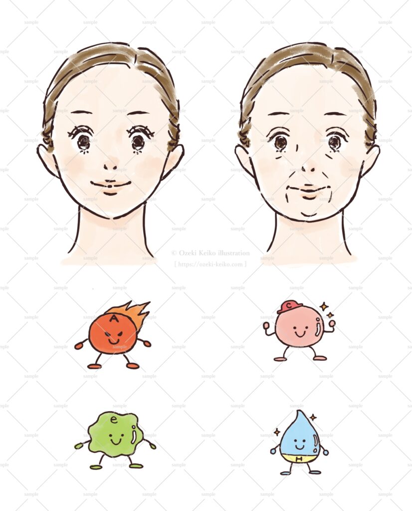 化粧品メーカー様の商品紹介用イラスト