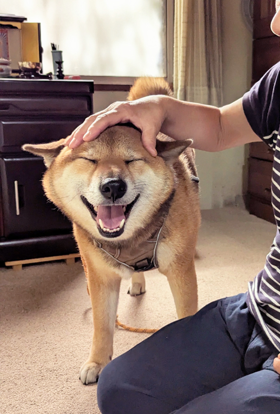 お盆