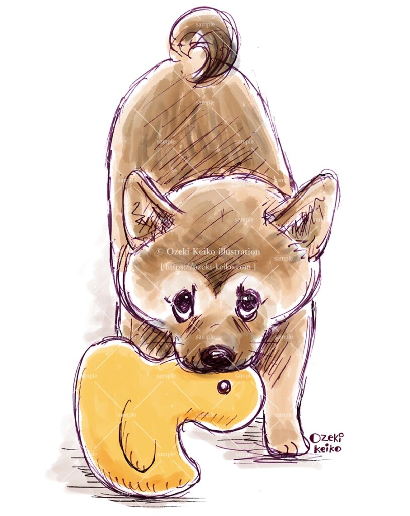 おもちゃ咥えた目つきの悪い柴犬イラスト